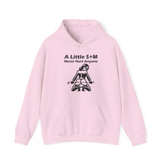 A Little S+M Never Hurt Anyone - Hoodie - Witty Twisters Fashions