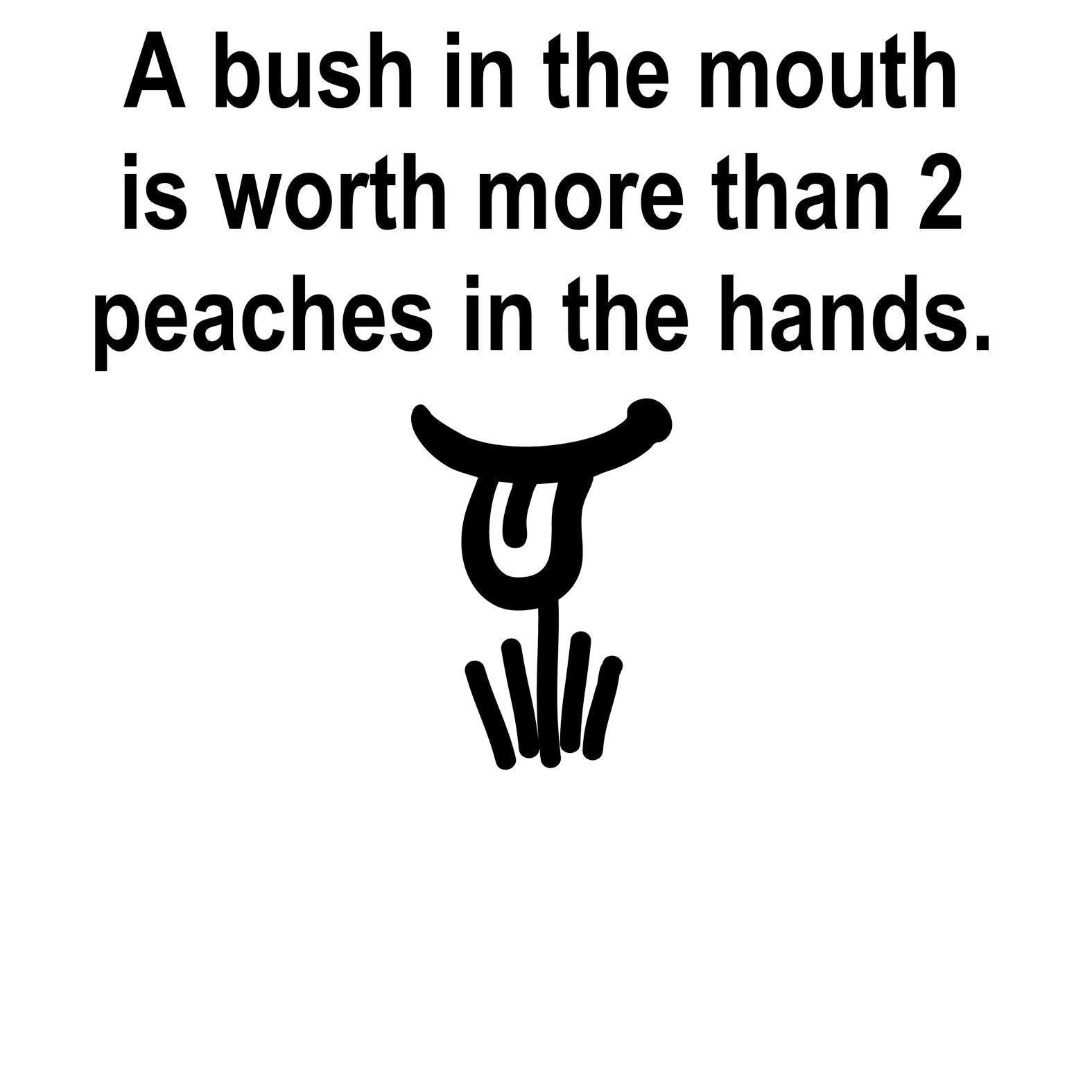 A Bush In The Mouth Is Worth More Than 2 Peaches In The Hands. - Tank Top - Witty Twisters Fashions