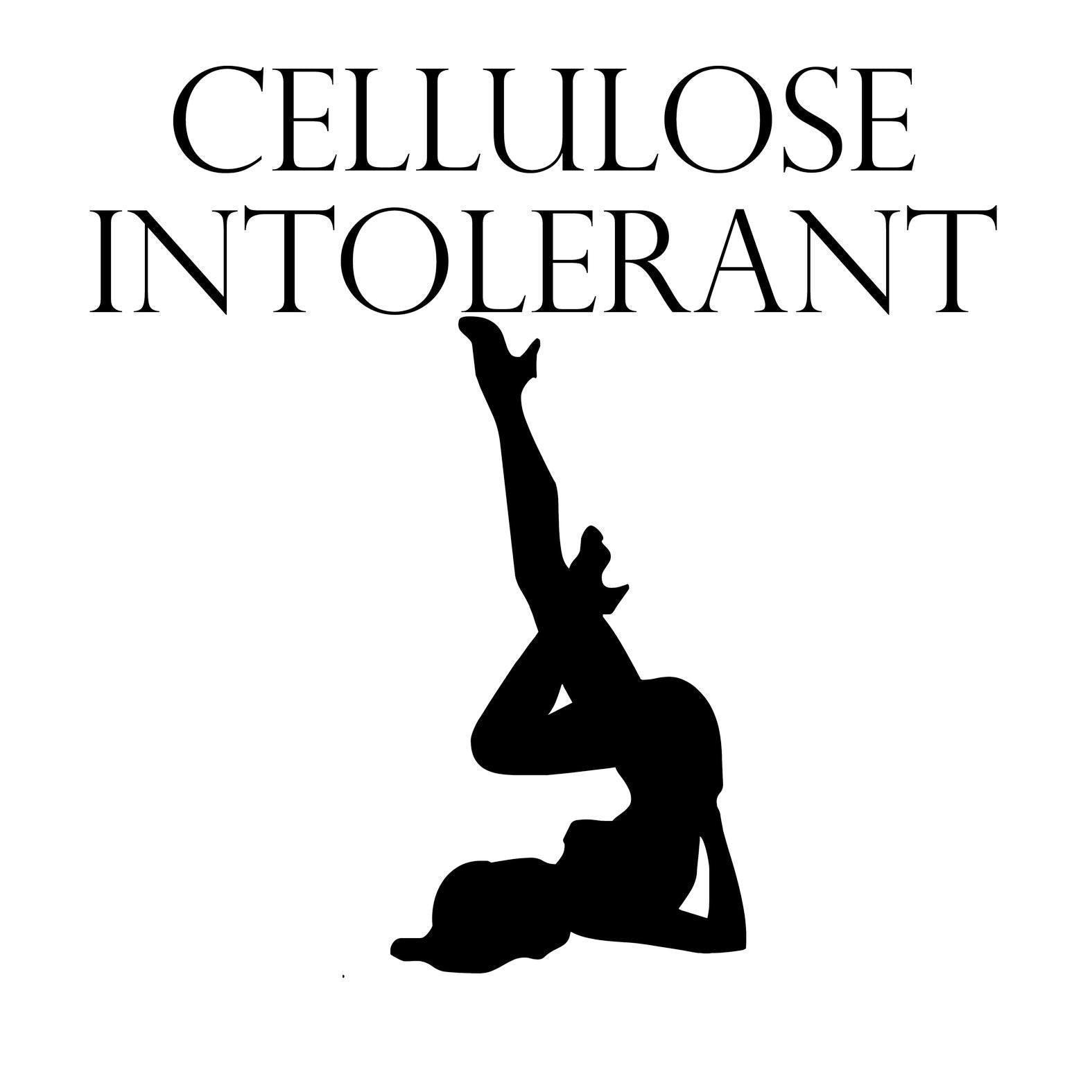 Cellulose Intolerant - Seamless Sports Bra - Witty Twisters Fashions