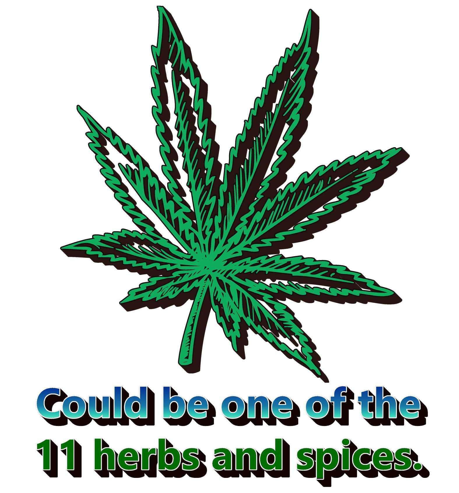 Could Be One Of The 11 Herbs And Spices. - T-Shirt - Witty Twisters Fashions