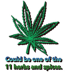 Could Be One Of The 11 Herbs And Spices. - T-Shirt - Witty Twisters Fashions