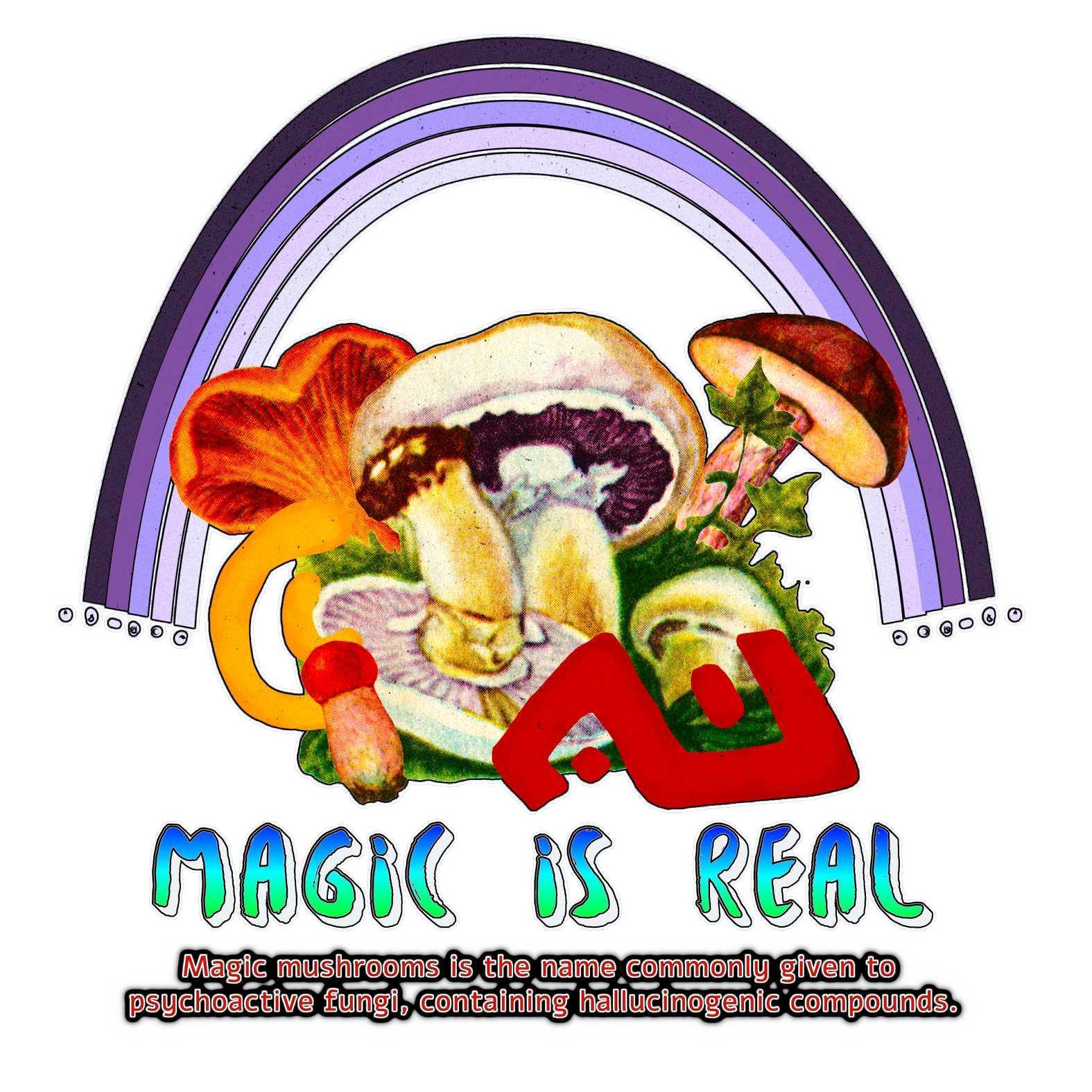 Magic Is Real - T-Shirt - Witty Twisters Fashions
