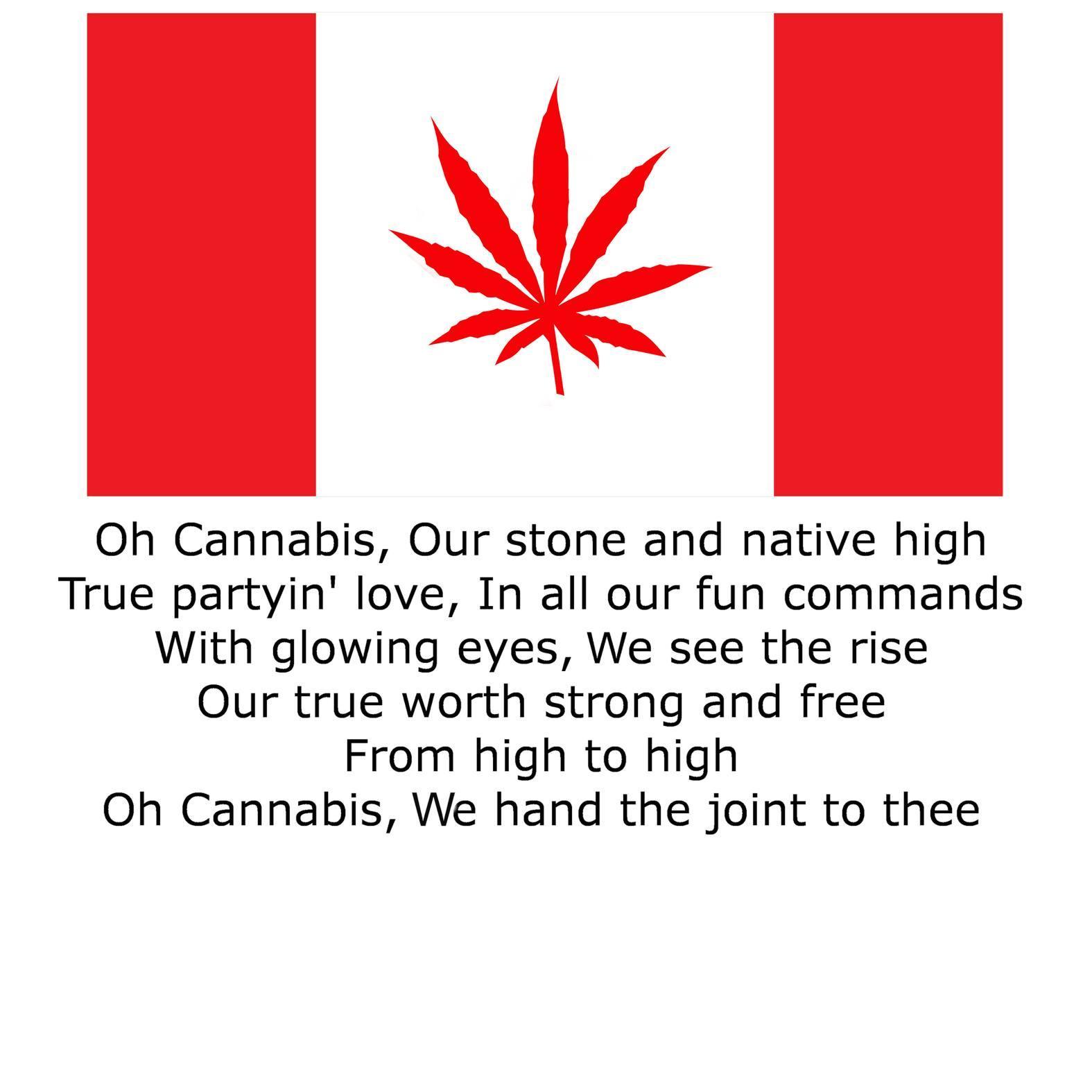 Oh Cannabis - T-Shirt - Witty Twisters Fashions