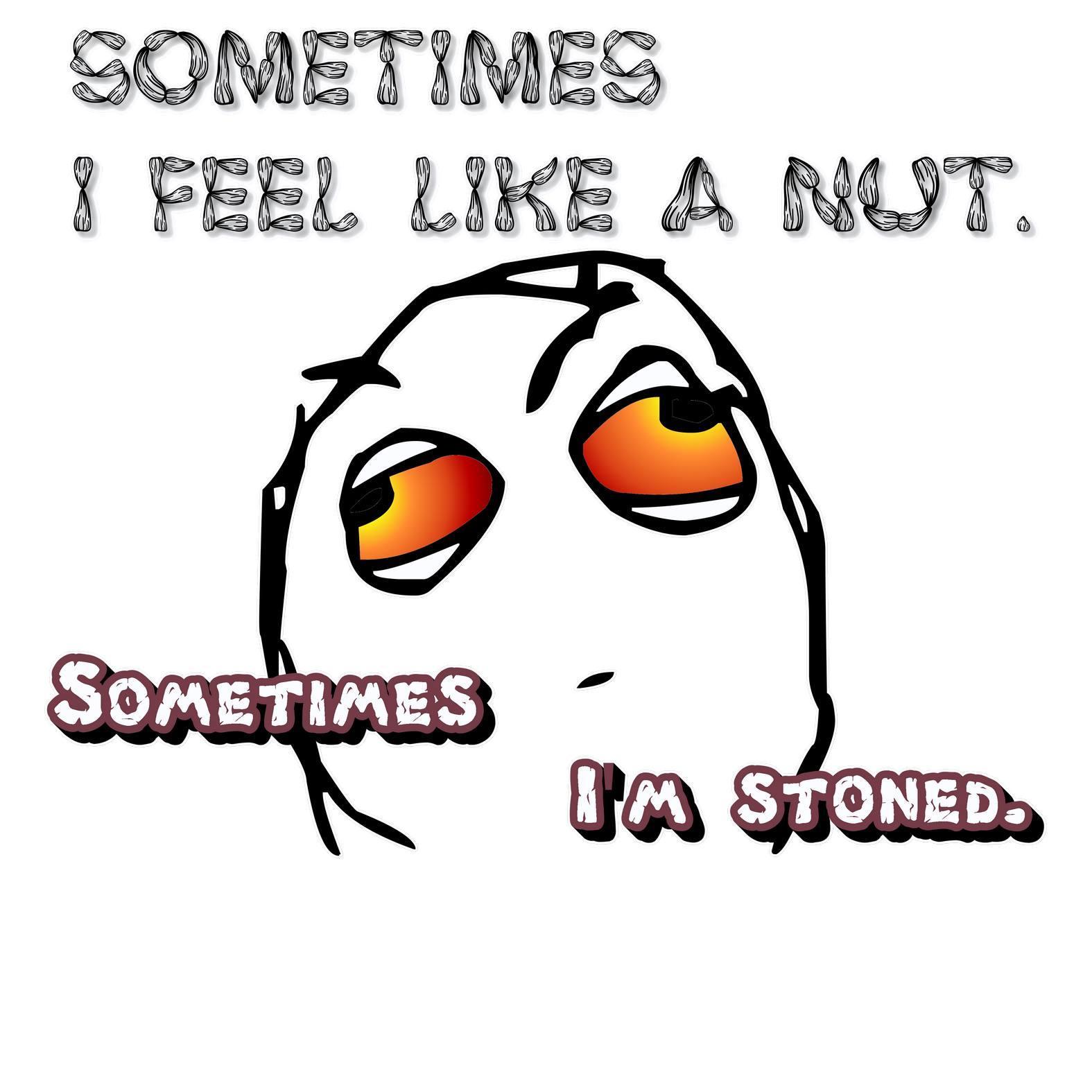 Sometimes I Feel Like A Nut. Sometimes I'm Stoned. - T-Shirt - Witty Twisters Fashions