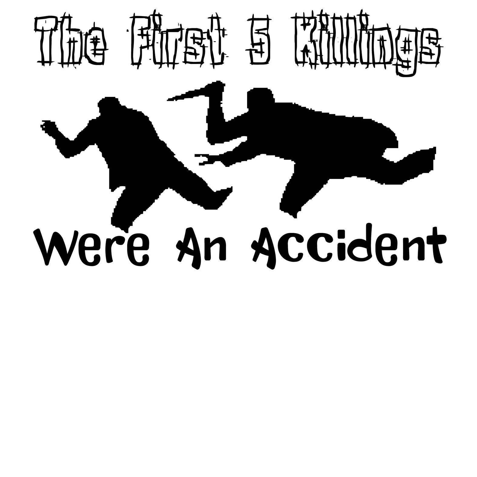 The First 5 Killings Were An Accident - T-Shirt - Witty Twisters Fashions