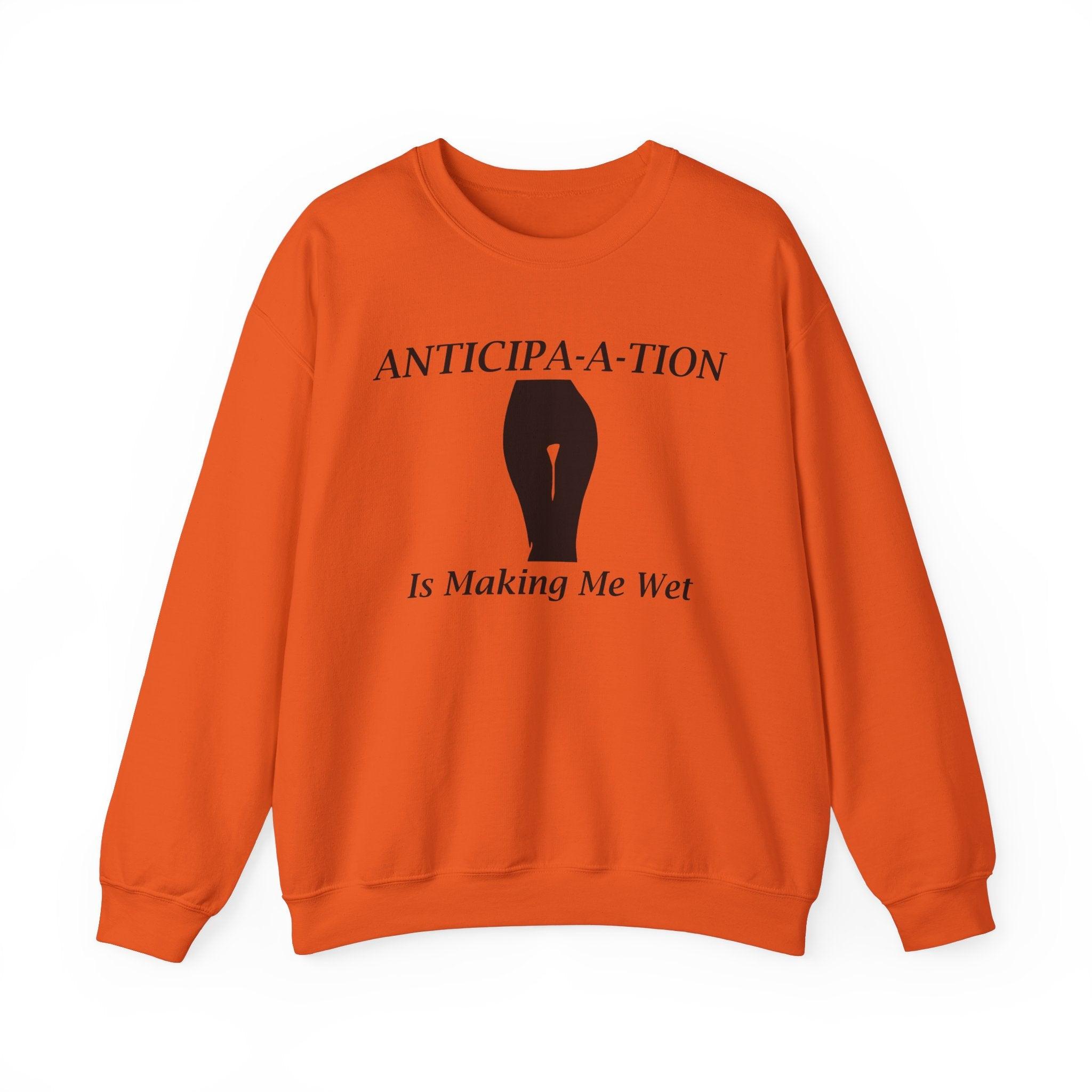 Anticipa-a-tion Is Making Me Wet - Sweatshirt - Witty Twisters Fashions