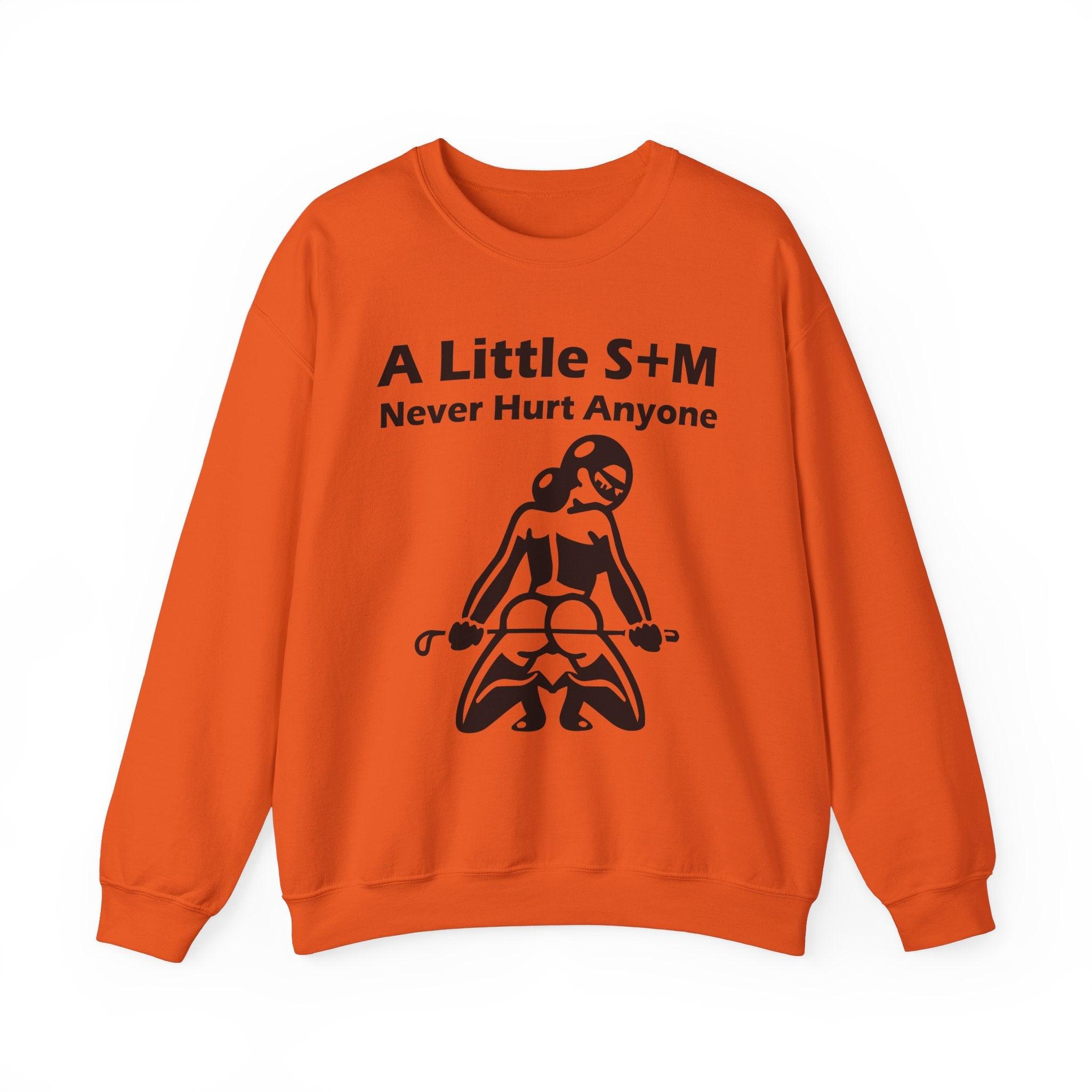 A Little S+M Never Hurt Anyone - Sweatshirt - Witty Twisters Fashions