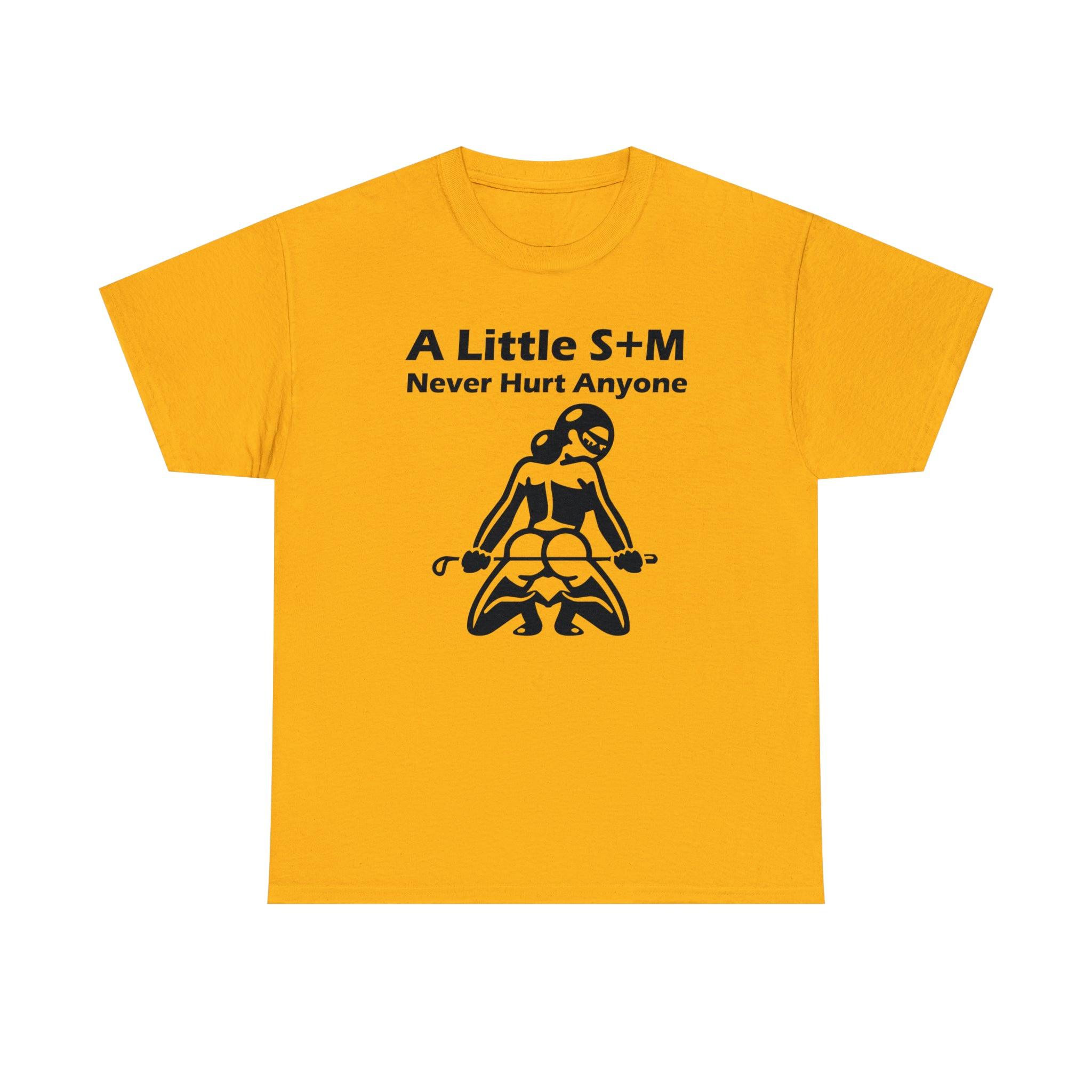 A Little S+M Never Hurt Anyone - T-Shirt - Witty Twisters Fashions