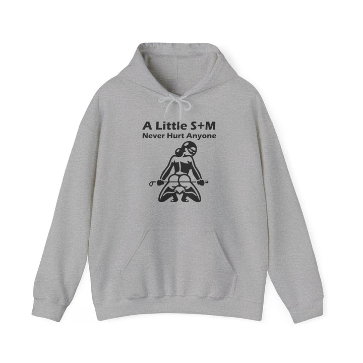 A Little S+M Never Hurt Anyone - Hoodie - Witty Twisters T-Shirts