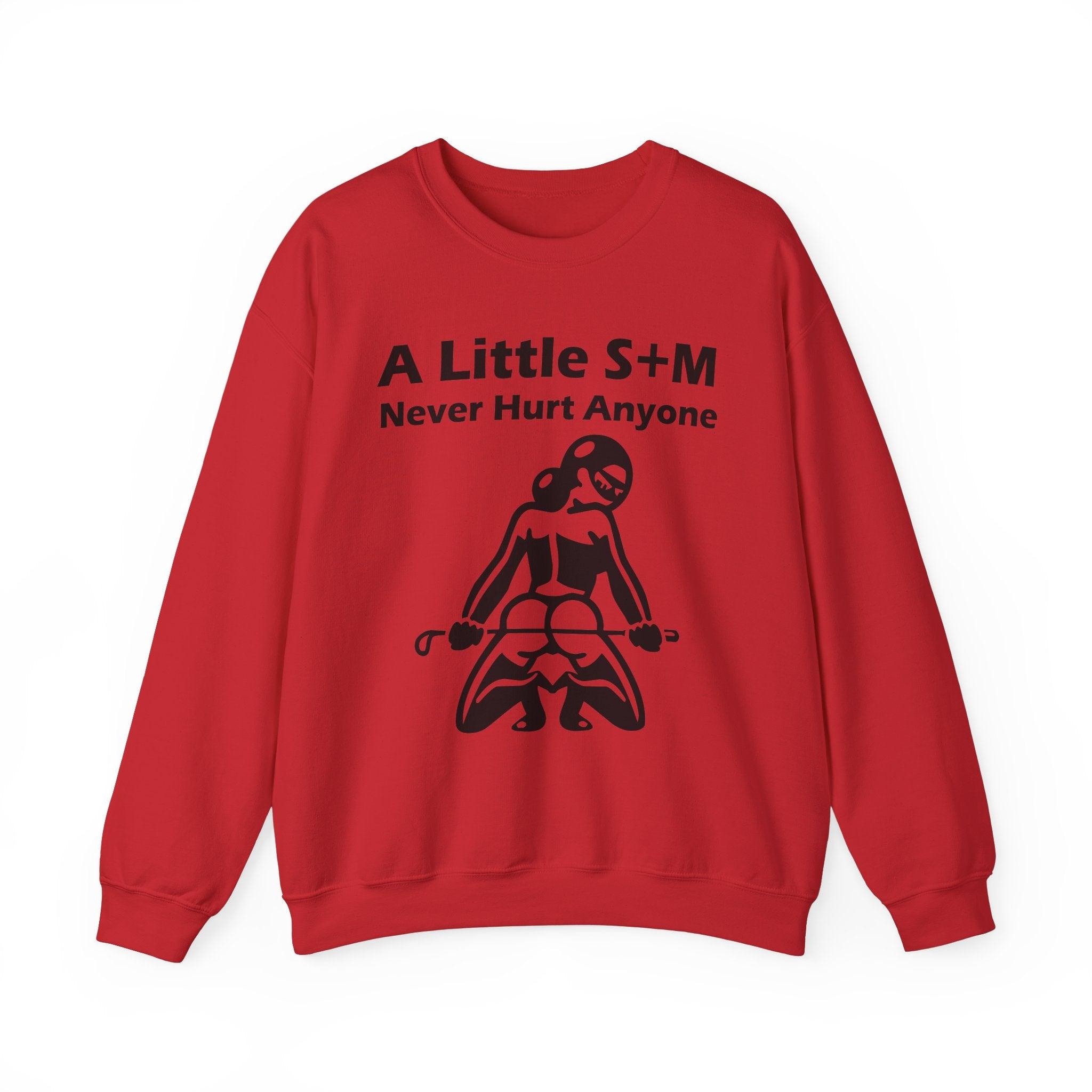 A Little S+M Never Hurt Anyone - Sweatshirt - Witty Twisters Fashions