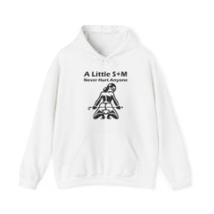 A Little S+M Never Hurt Anyone - Hoodie - Witty Twisters Fashions