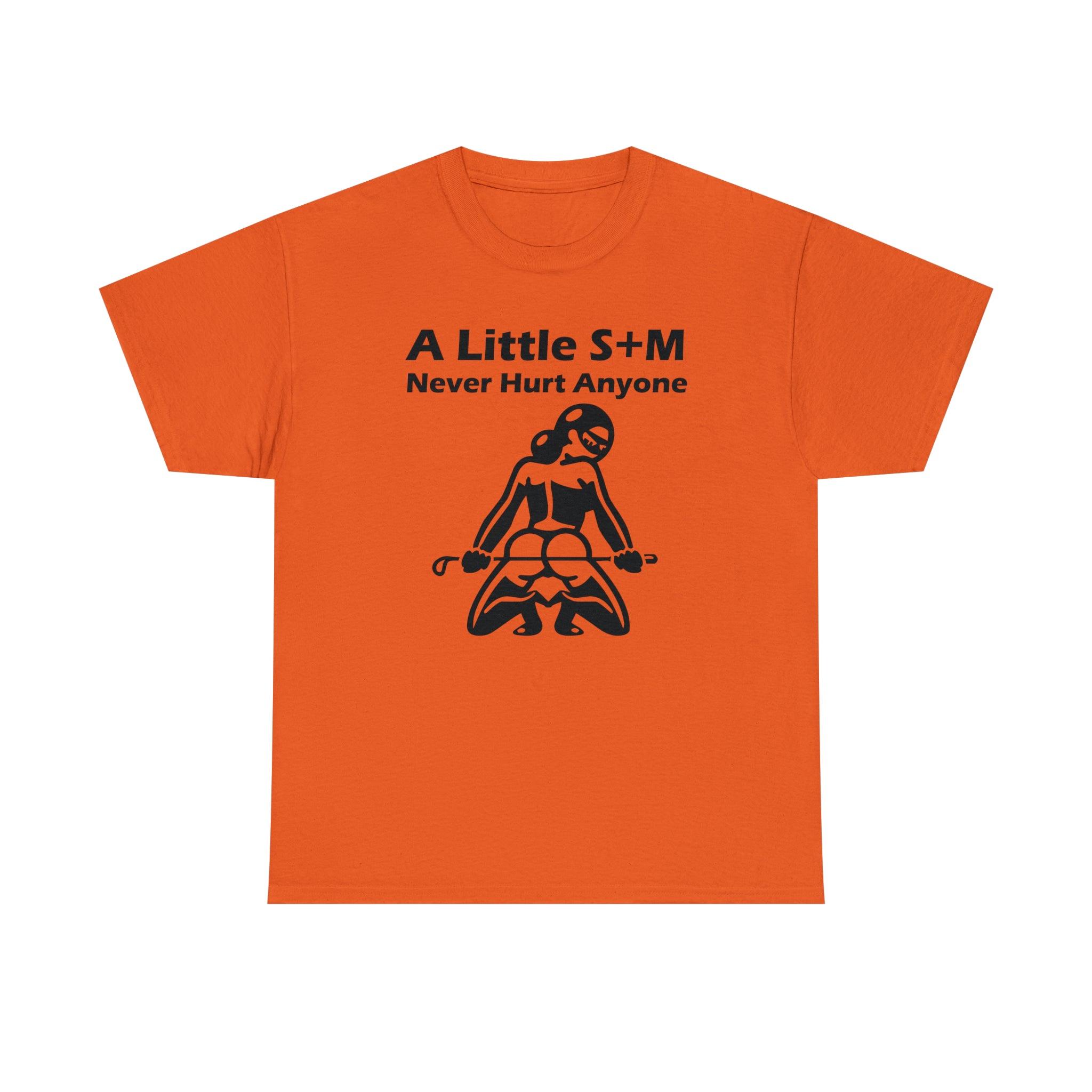 A Little S+M Never Hurt Anyone - T-Shirt - Witty Twisters Fashions