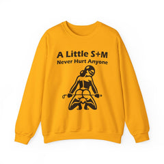 A Little S+M Never Hurt Anyone - Sweatshirt - Witty Twisters Fashions