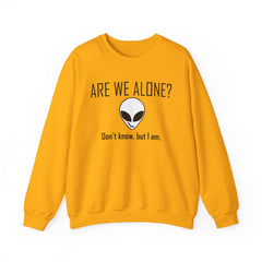 Are We Alone? Don't Know, But I Am. - Sweatshirt - Witty Twisters Fashions