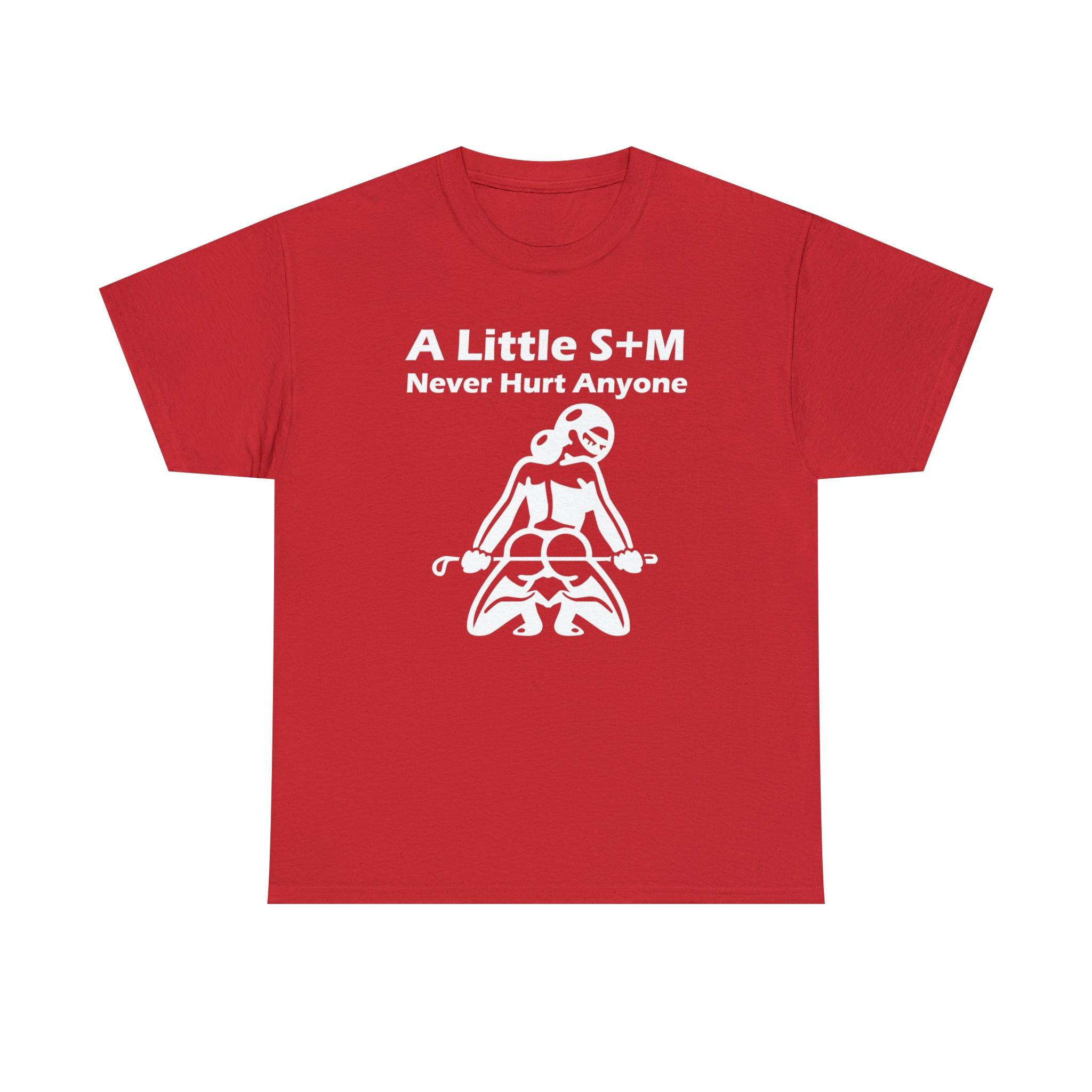 A Little S+M Never Hurt Anyone - T-Shirt - Witty Twisters Fashions