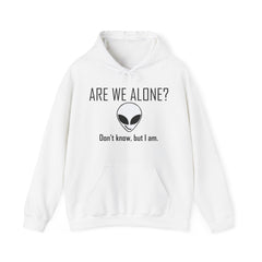 Are We Alone? Don't Know, But I Am. - Hoodie - Witty Twisters Fashions