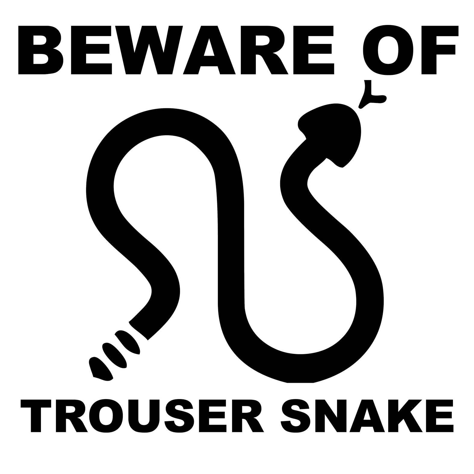 Beware Of Trouser Snake - Hoodie - Witty Twisters Fashions