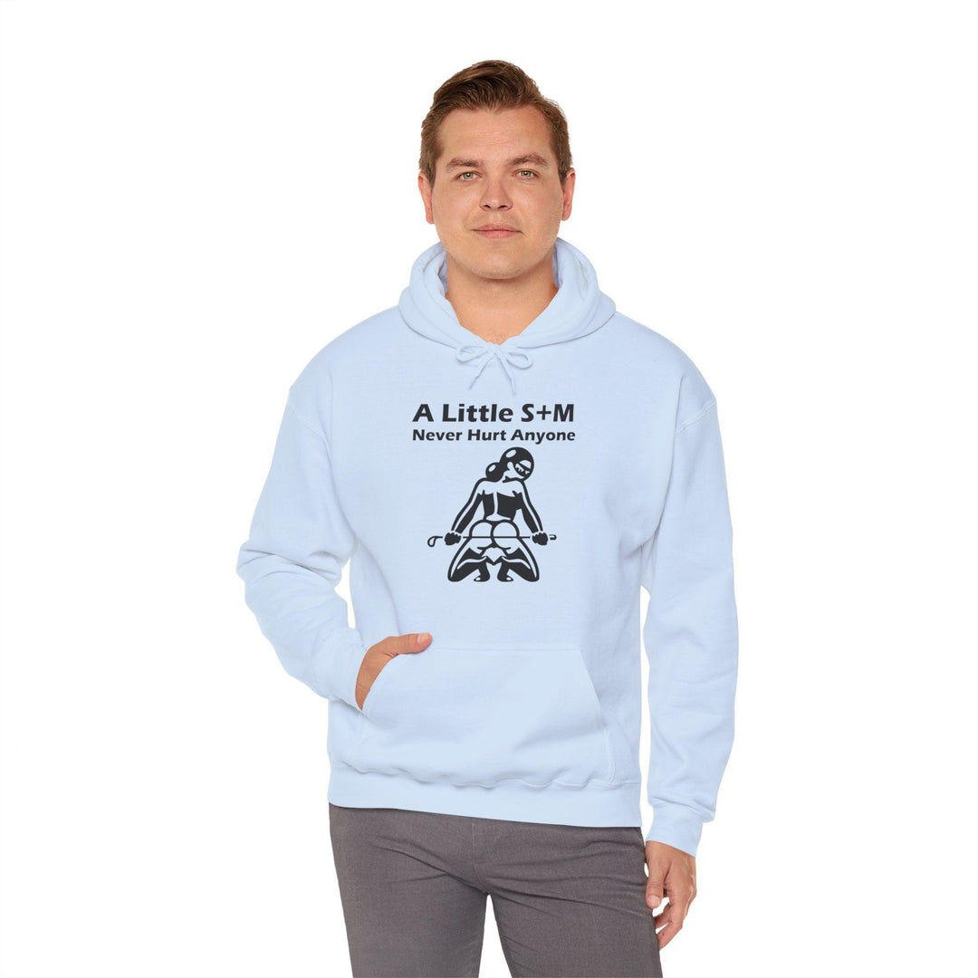 A Little S+M Never Hurt Anyone - Hoodie - Witty Twisters T-Shirts