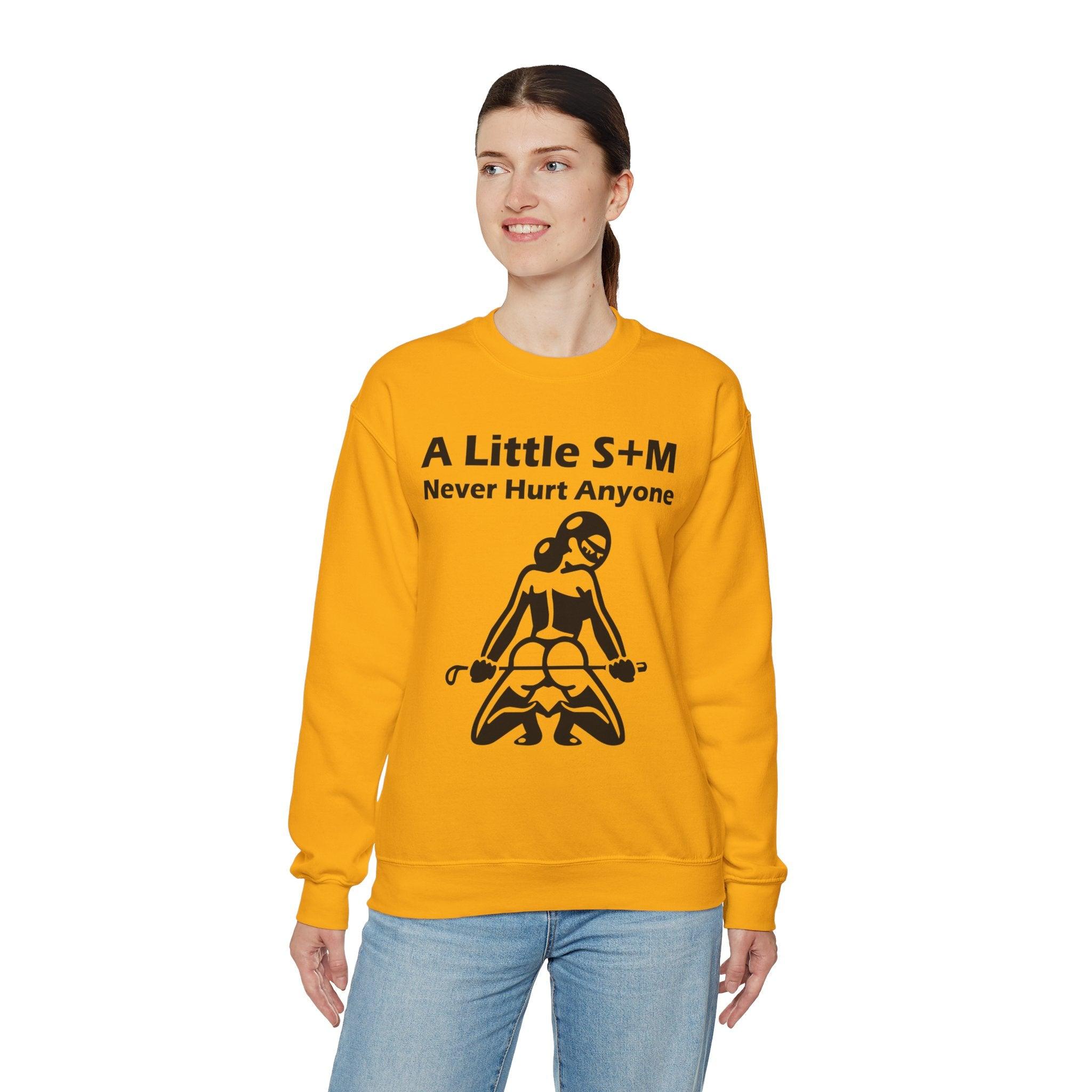 A Little S+M Never Hurt Anyone - Sweatshirt - Witty Twisters Fashions