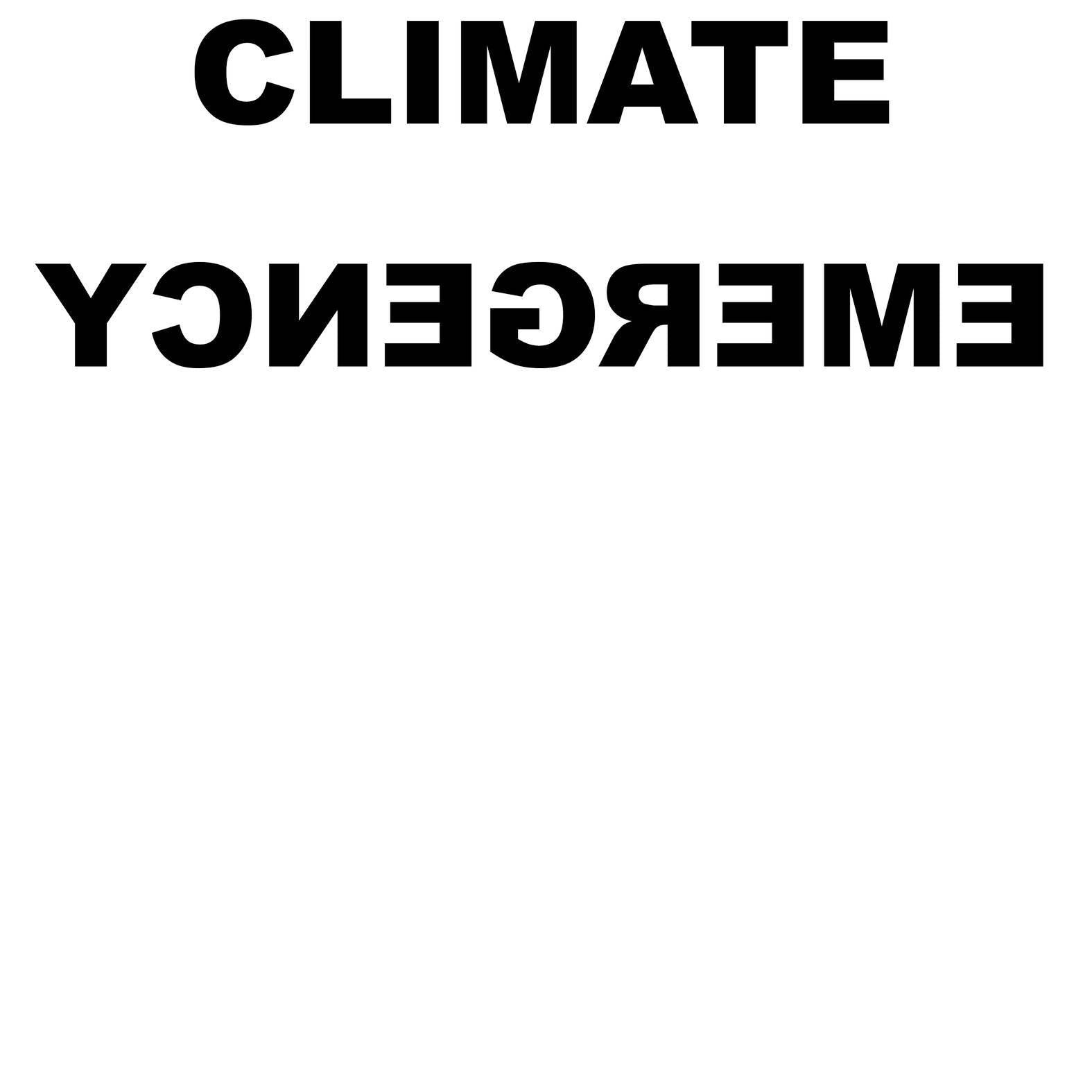 Climate Emergency - T-Shirt - Witty Twisters Fashions