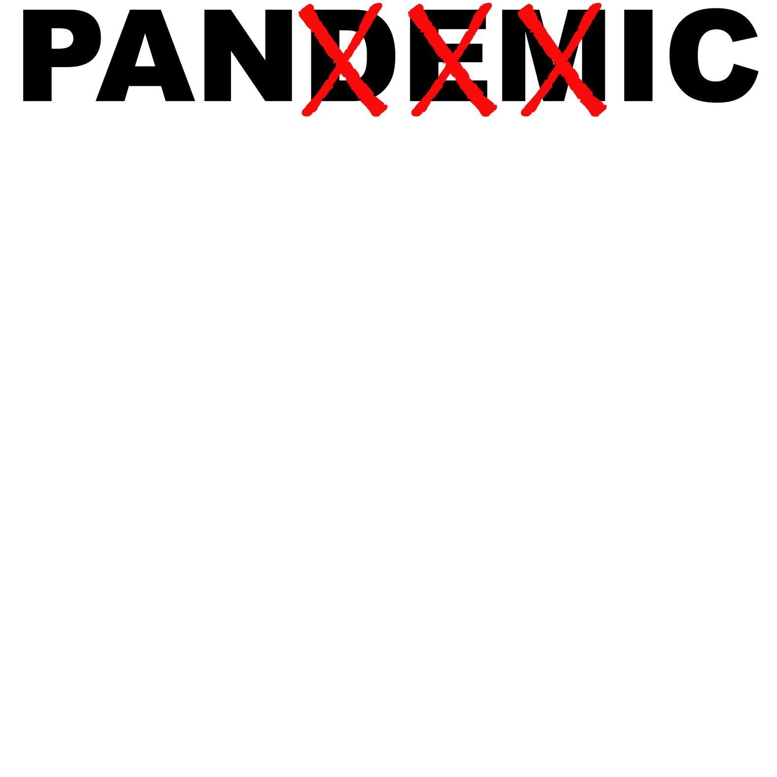 Pandemic Is Panic - T-Shirt - Witty Twisters Fashions