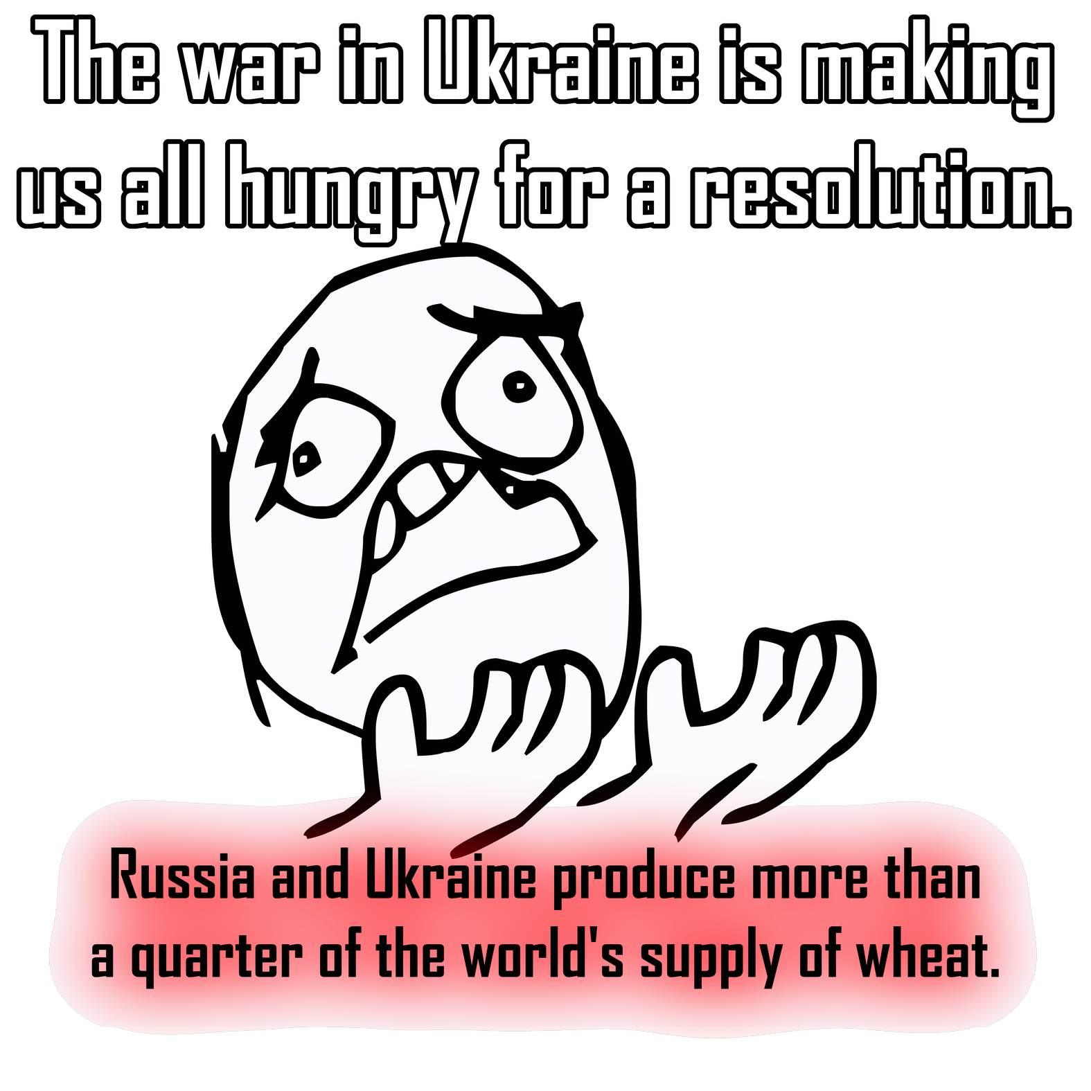 The war in Ukraine is making us all hungry for a resolution. - T-Shirt - Witty Twisters Fashions